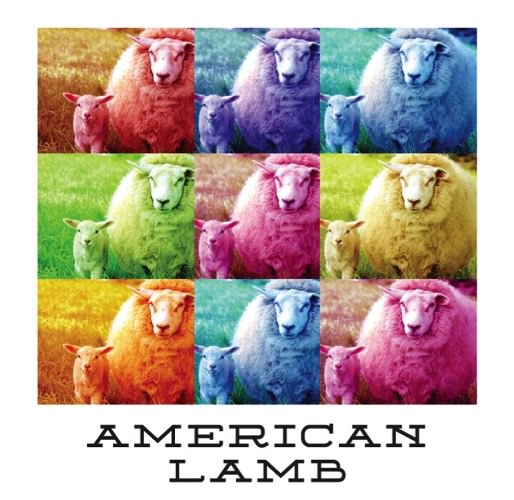 American Lamb Yarn